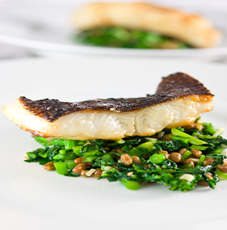 Miso Glazed Black Cod